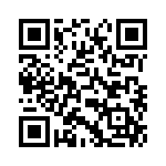 60110369028 QRCode