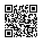 6013R-028 QRCode