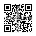 61030013017 QRCode