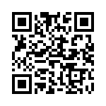 613010243121 QRCode