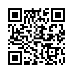 61303621121 QRCode