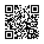 61K256 QRCode