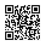 62081 QRCode
