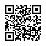 633P13303I3T QRCode