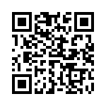 633P13306A2T QRCode