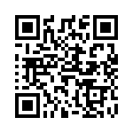 638100000 QRCode