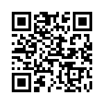 638E15625I2T QRCode