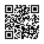 653E13302I2T QRCode