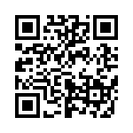 653E13306C2T QRCode