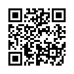 653E17333I2T QRCode