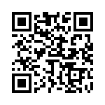 653E17506A3T QRCode