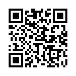 653L17506A3T QRCode