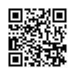 653P17333C2T QRCode