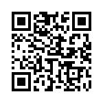 653P17502I2T QRCode