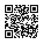 653P17503C2T QRCode