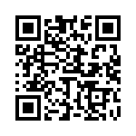 653P22505I3T QRCode