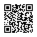 653V17333I3T QRCode