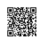 6STF25PAT04S30X QRCode