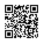 73L5R13J QRCode