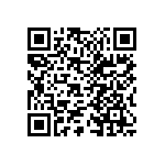 753161111GPTR13 QRCode