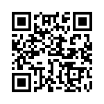 753163101GTR QRCode