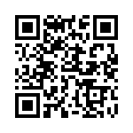 766141334G QRCode