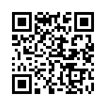 767163821G QRCode