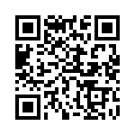 768161202G QRCode
