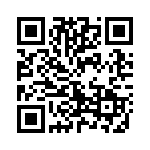 77081333P QRCode