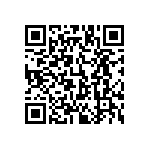 803-87-038-30-001101 QRCode