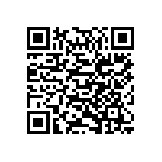 803-87-038-65-001101 QRCode