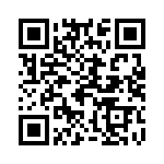 81040-520203 QRCode