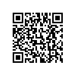 813-22-006-30-001101 QRCode