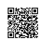 813-22-028-30-004101 QRCode