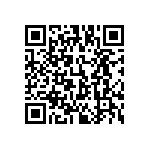 813-22-038-30-001101 QRCode