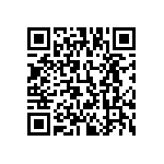 813-22-068-30-001101 QRCode
