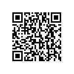 813-SS-012-30-005101 QRCode