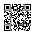 85-068617-13S QRCode