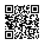 85100RT2024P50 QRCode