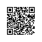 853-87-038-20-002101 QRCode