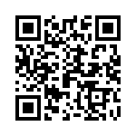 89891-313HLF QRCode