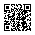 8T1-E-113 QRCode