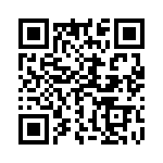 9-1393243-1 QRCode