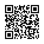 91-569781-98P QRCode