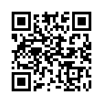 919-384J-51P QRCode