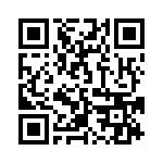 919-386P-51S QRCode