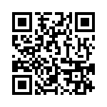 919-389P-51A QRCode