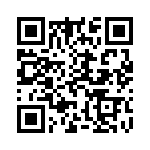 91900-21311 QRCode