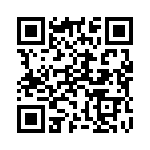 919582 QRCode