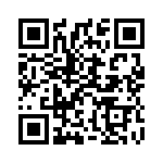 91J1R2E QRCode